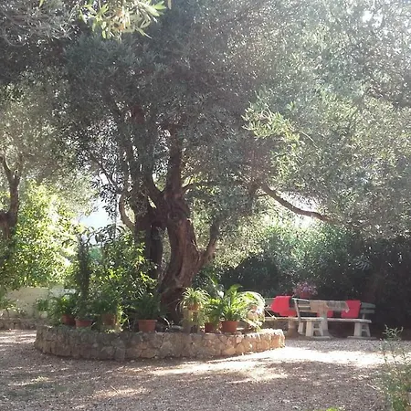 Daniela Apartman Makarska Kültér fotó