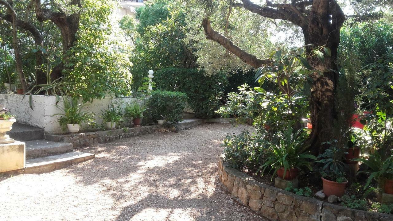 Apartment Daniela Makarska